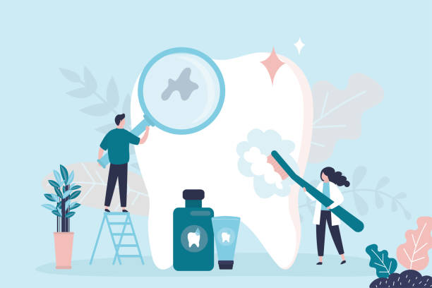Trusted Paulding, OH Holistic Dental Care Services Experts